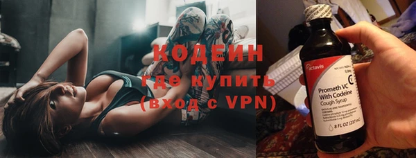 прущие грибы Алзамай