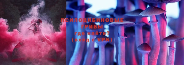 прущие грибы Алзамай