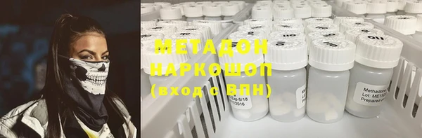 прущие грибы Алзамай