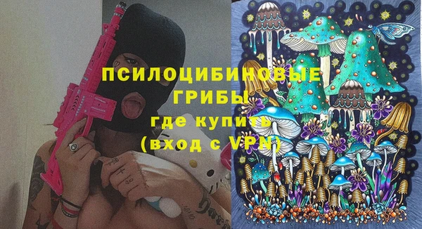 прущие грибы Алзамай