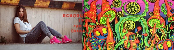 прущие грибы Алзамай