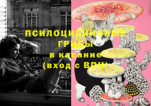 прущие грибы Алзамай